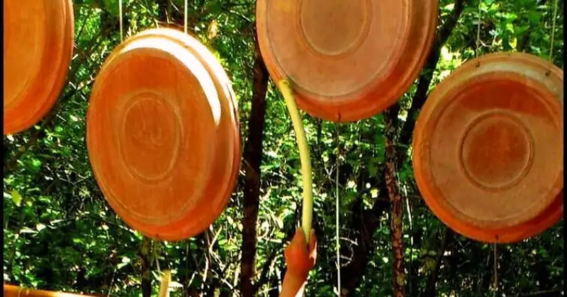 jardin musical