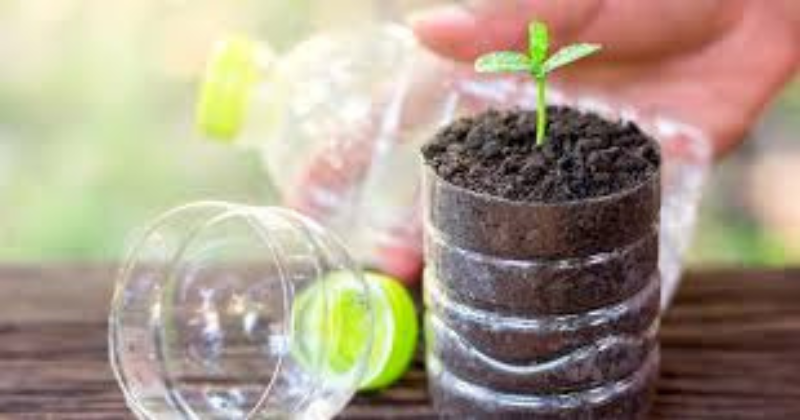 Recycler pour cultiver