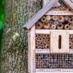 fabriquer un hôtel à insectes