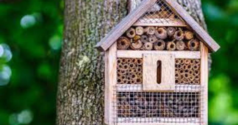 fabriquer un hôtel à insectes