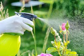 insecticide naturel
