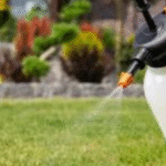 insecticide naturel