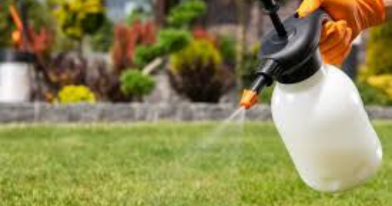 insecticide naturel