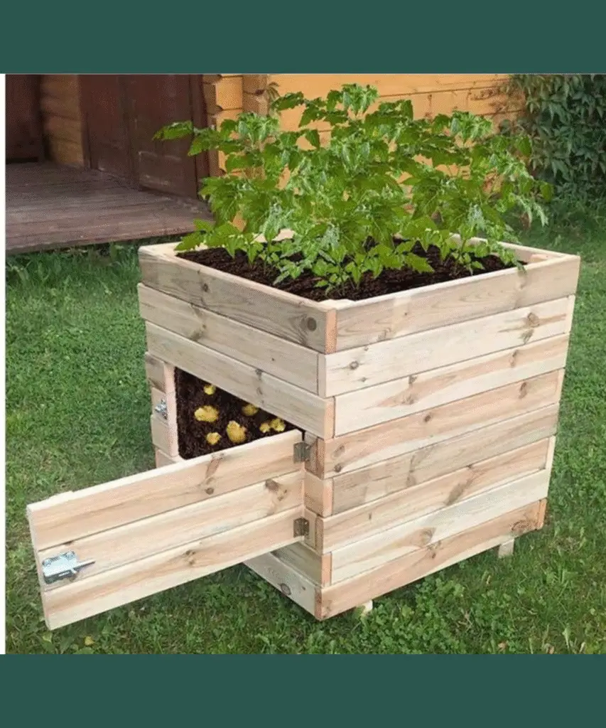 bac à pommes de terre