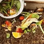 Compostage en tranchée
