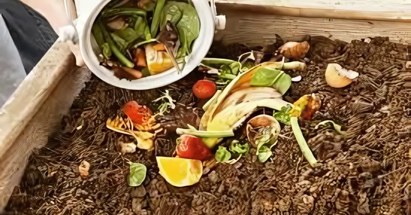 Compostage en tranchée