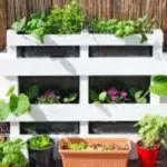 potager vertical en palette