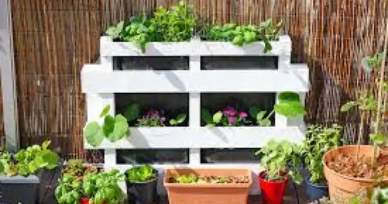 potager vertical en palette