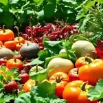 associations de légumes