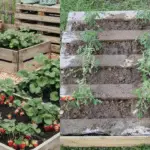 potager vertical