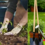 un jardin en bonne santé