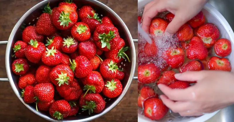 Comment nettoyer vos fraises pour éliminer pesticides et bactéries