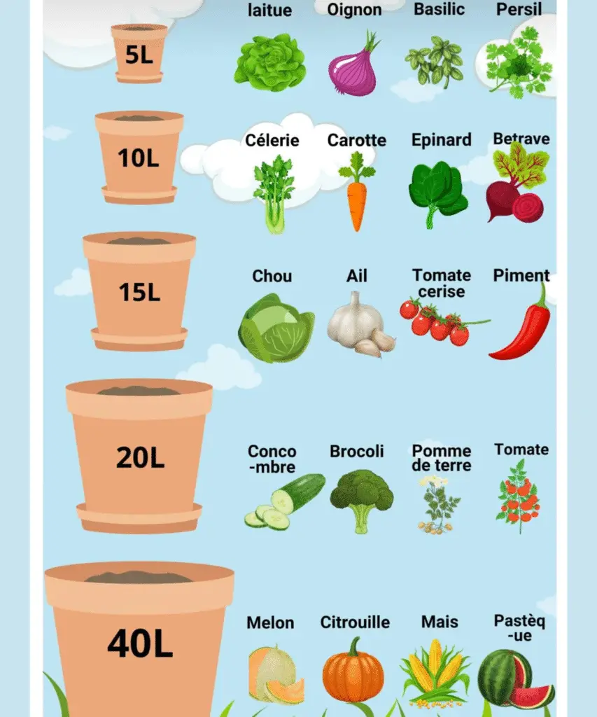 légumes et fruits